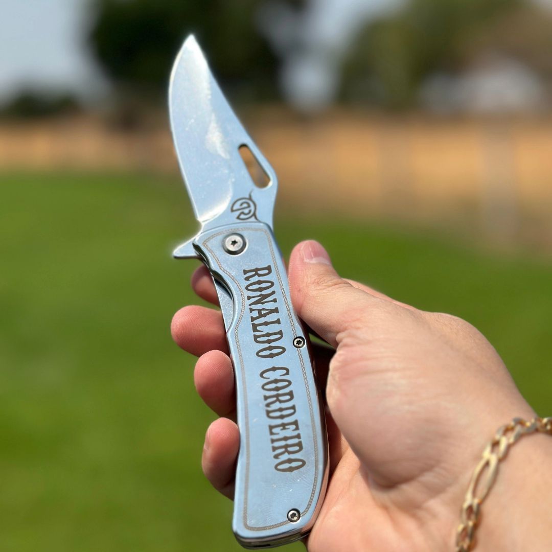 Nelore Pecuária Rural