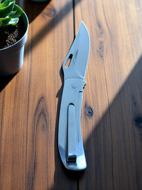 Nelore Pecuária Rural