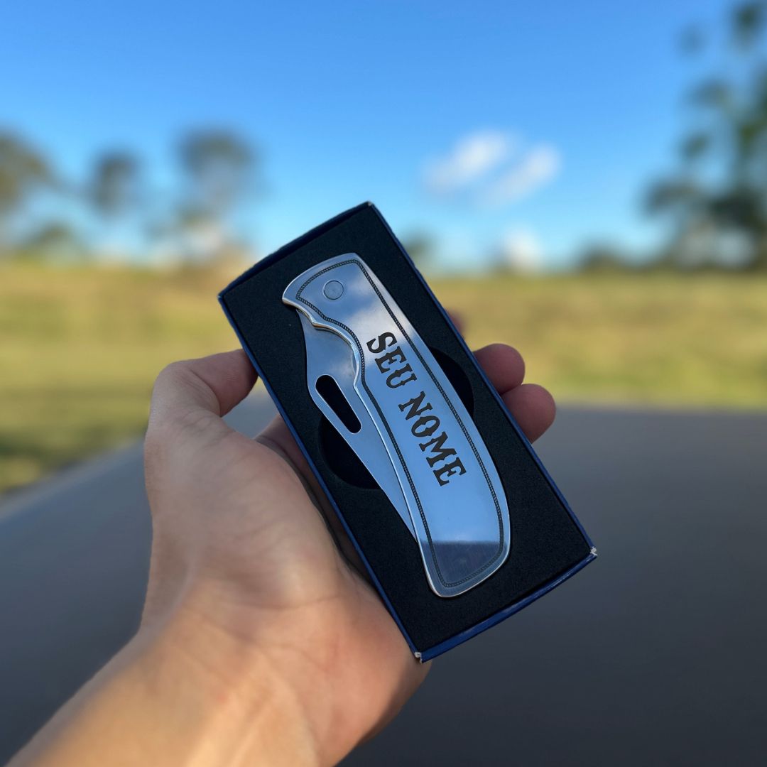 Nelore Pecuária Rural