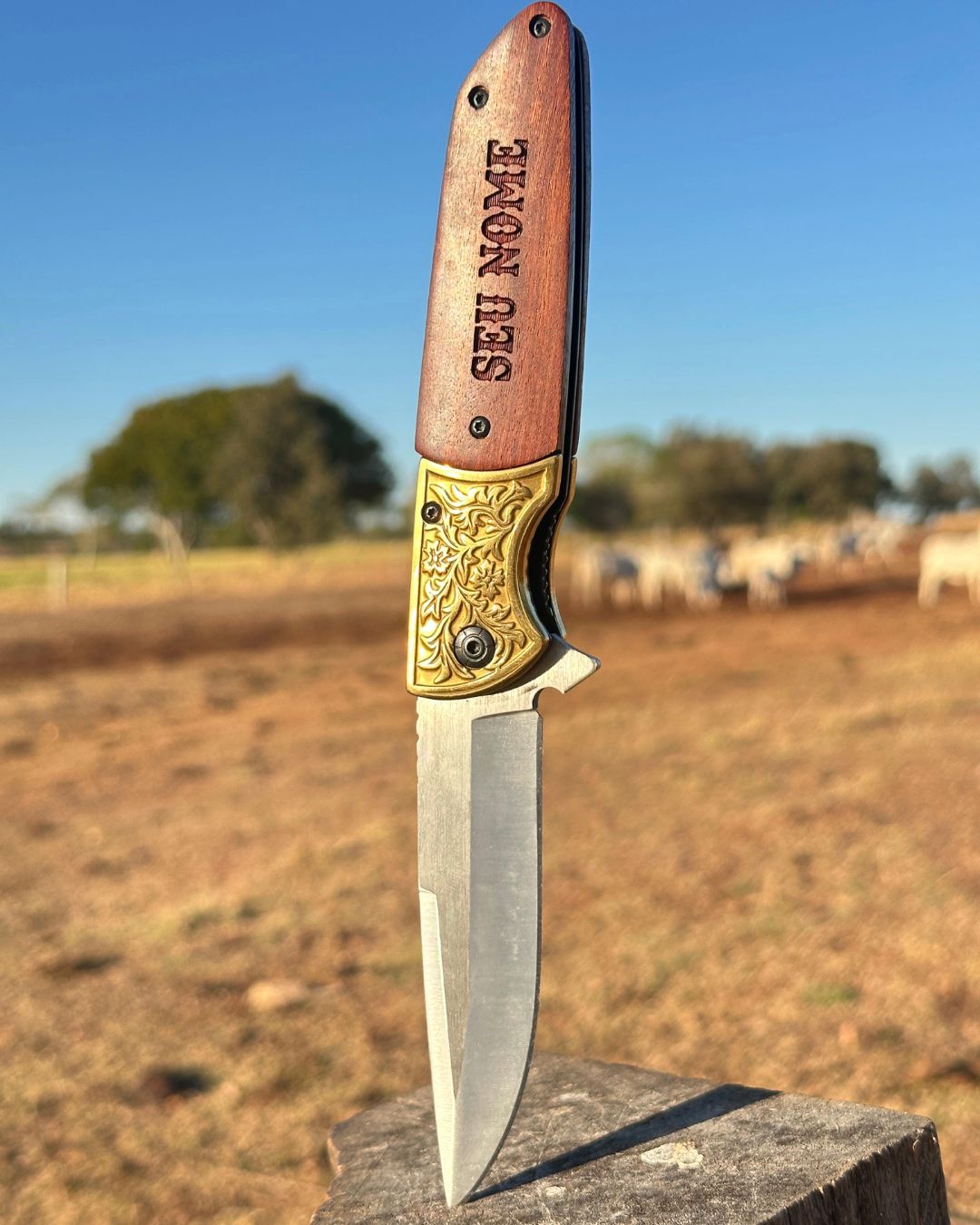 Old Yellowstone Pecuária Rural